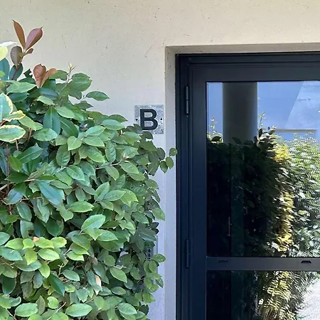 T3 Cosy Avec Jardin A Deux Pas Du Centre De Meschers, Garage Et Animaux Admis - Fr-1-738-1 Apartmán *